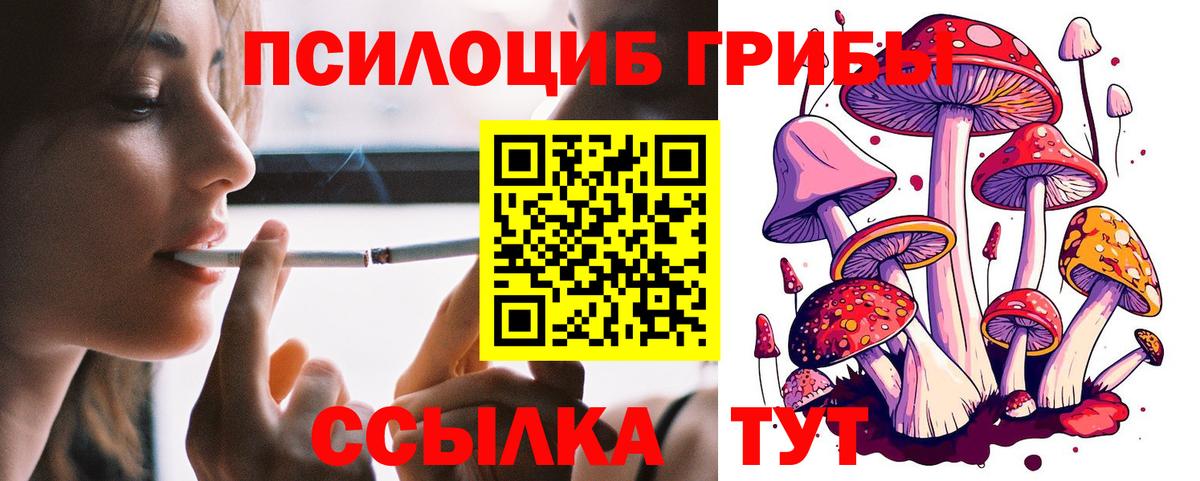 Псилоцибиновые грибы Psilocybe Астрахань