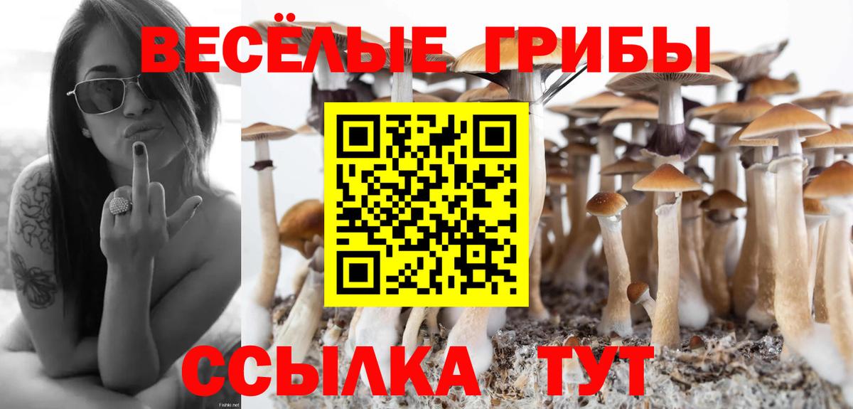 Астрахань  Галлюциногенные грибы Cubensis  где найти   Вход с VPN  Галлюциногенные грибы мицелий 